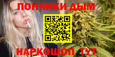 прущие крисы Гусев