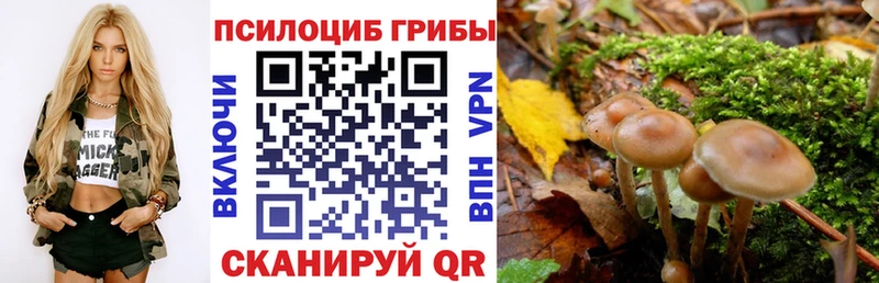 Галлюциногенные грибы MAGIC MUSHROOMS  купить   Магнитогорск 