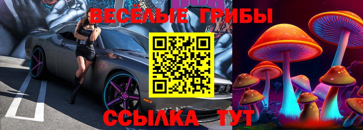 Псилоцибиновые грибы мухоморы Магнитогорск